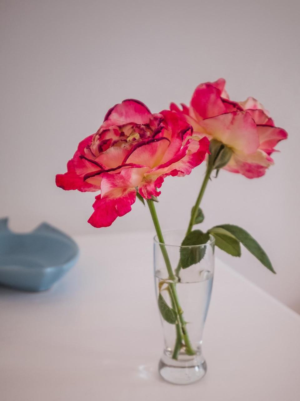 On The Bay Bed & Breakfast Port Elizabeth Luaran gambar
