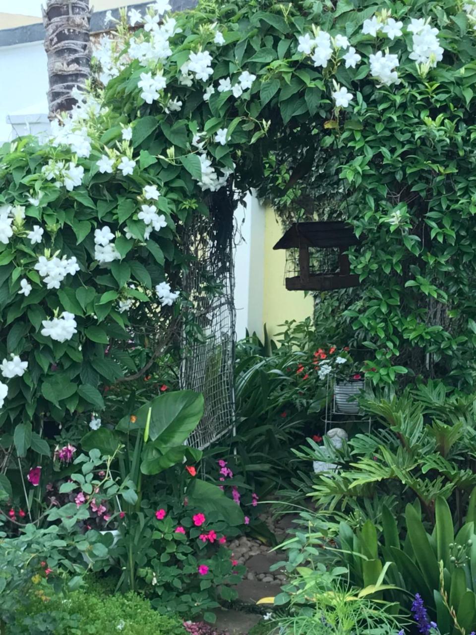 On The Bay Bed & Breakfast Port Elizabeth Luaran gambar